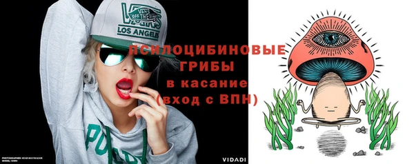 герыч Россошь